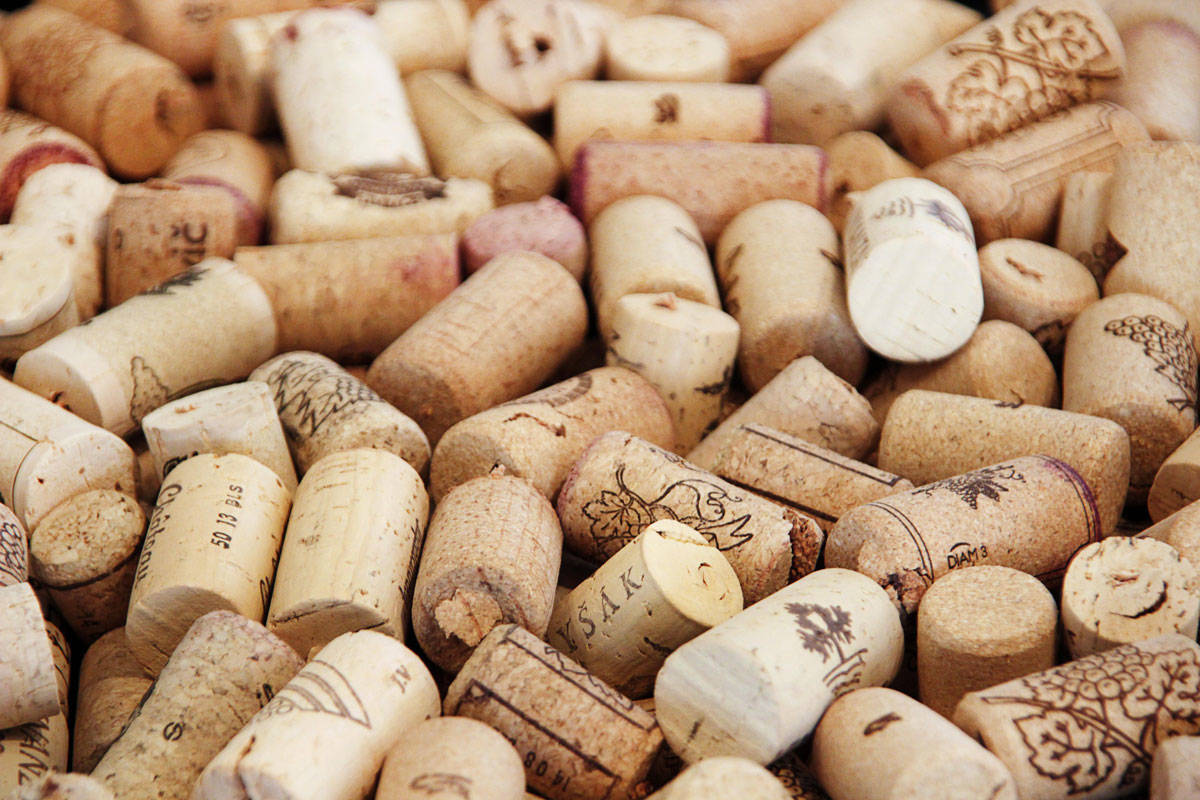 La Viña Fall Harvest Wine Festival