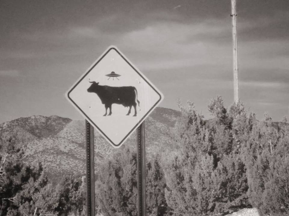 New Mexico in Black and White