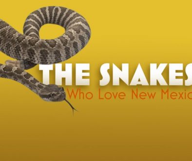 The Snakes Who Love New Mexico