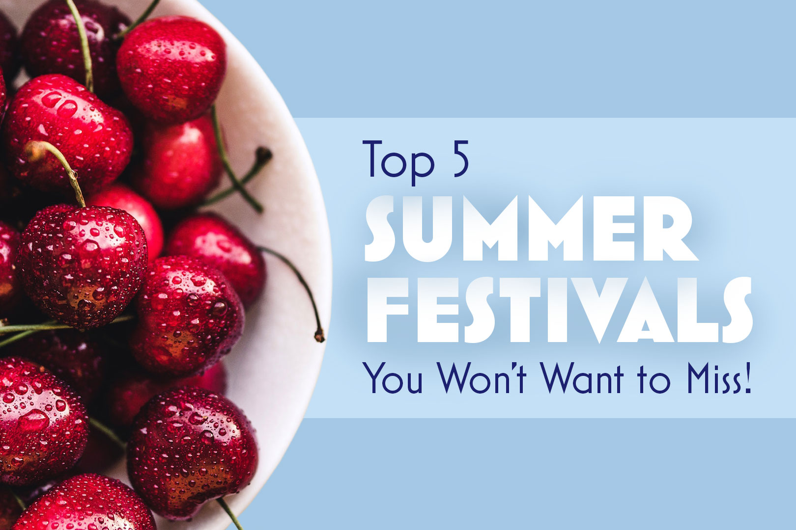 Top 5 Summer Festivals You Won't Want to Miss!