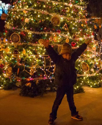 Mesilla Christmas Tree Lighting